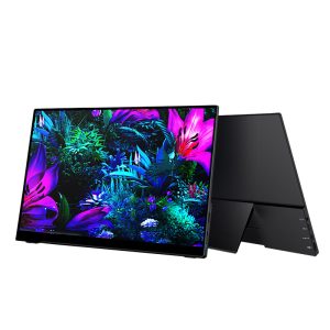 13.3" 15.6" Computer Monitor Portable 60hz Display 4K With Type C Mini HDMI For Laptop PC support touch funcation